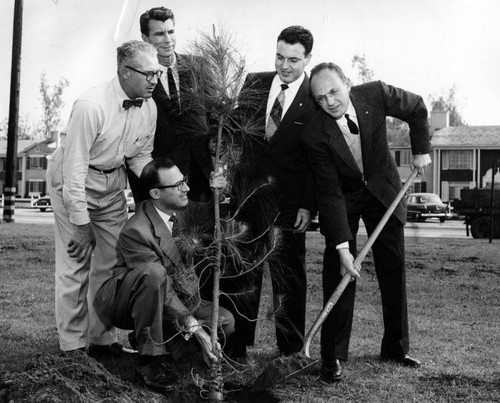 Tree planting ceremony