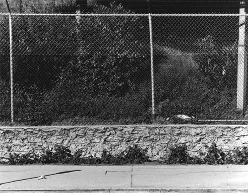 Ambassador Hotel, retaining wall along 8th Street