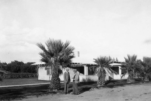 Palms and house