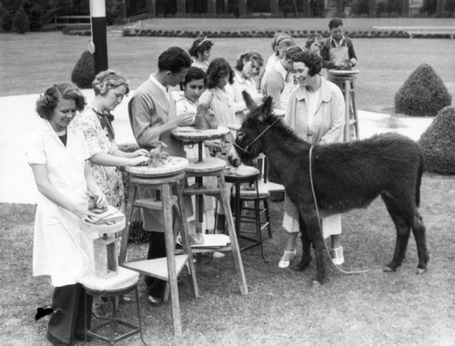 Students sculpting a donkey, view 6