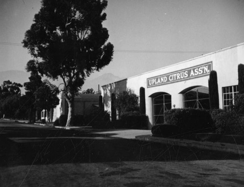 Upland Citrus Association packing house