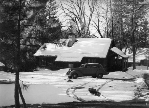 Cabin in Idyllwild