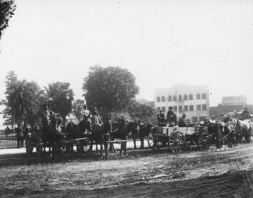 Wagons hauled by horse teams