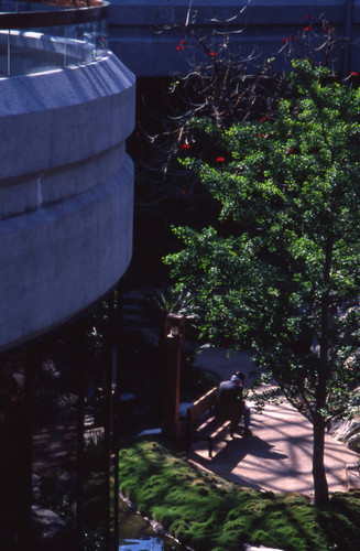 George C. Page Museum, La Brea Tar Pits