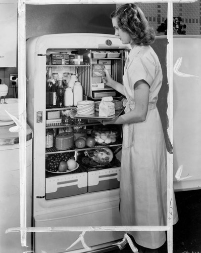 Refrigerator frozen food compartment