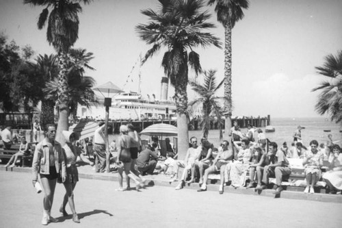 Enjoying Avalon by the S.S. Catalina