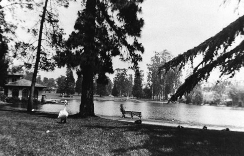 Lincoln Park lagoon