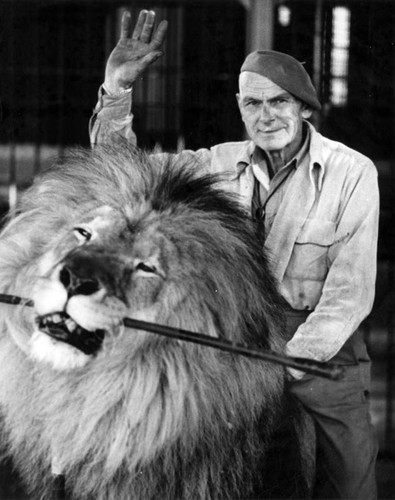 Jungleland lion trainer Jules Jacot at work