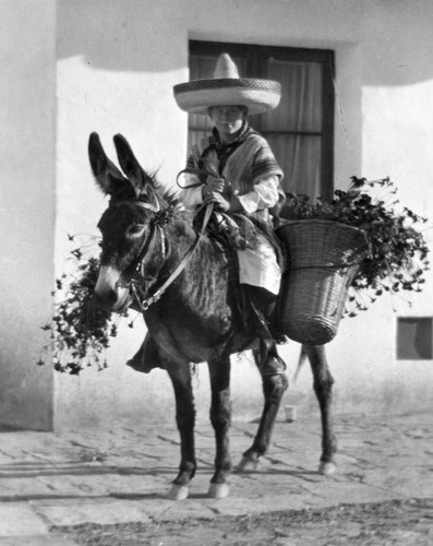 Boy on donkey