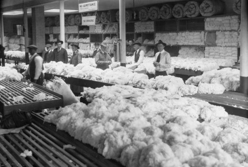 Piles of cotton await their destiny