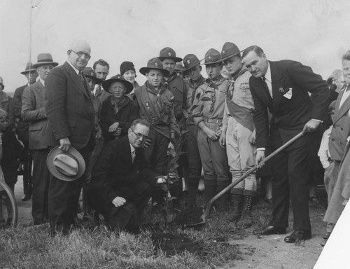 Tree planting ceremony