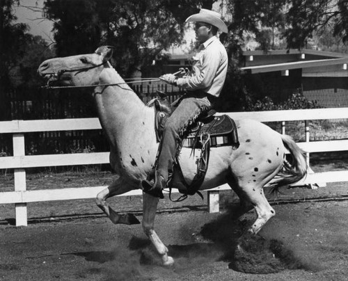 Appaloosa horse show scheduled