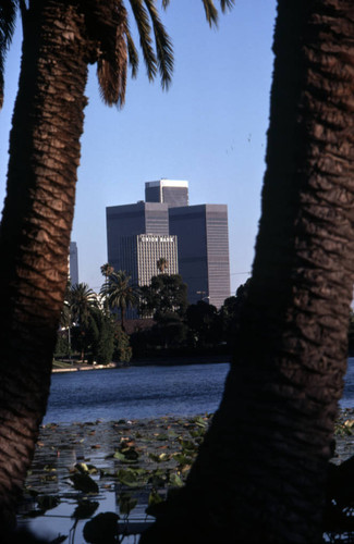 Downtown from Echo Park