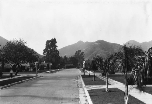 Genesee Street, Hollywood