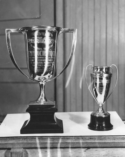 Herald-Express oratorical contest trophies