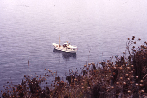 Boat excursion, Anacapa Island