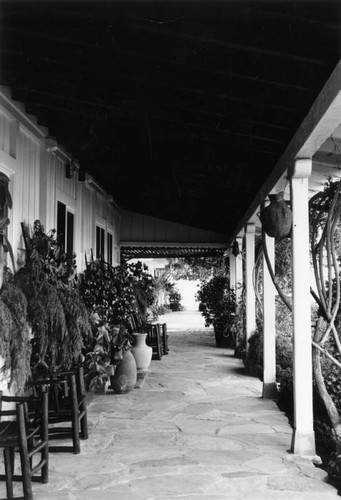 Vines provide porch shade