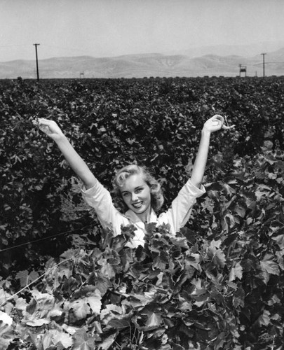 Woman promoting grape vines