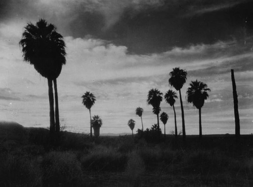 Panorama at Twentynine Palms