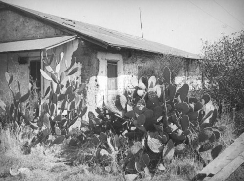 San Juan Capistrano house