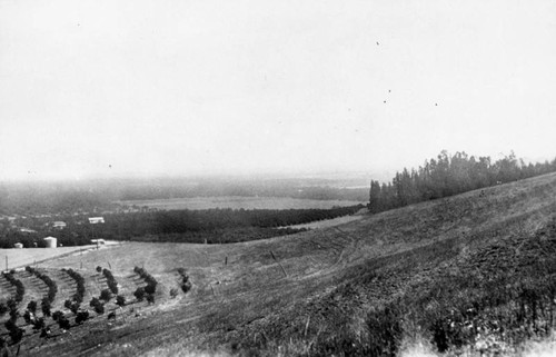 La Puente, panoramic view