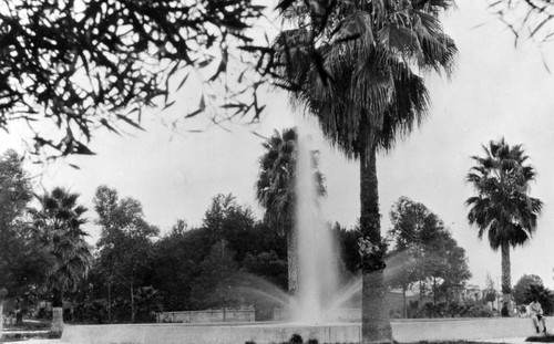 Fuente De La Col. Moderna