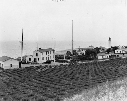 Point Vicente, Palos Verdes Peninsula