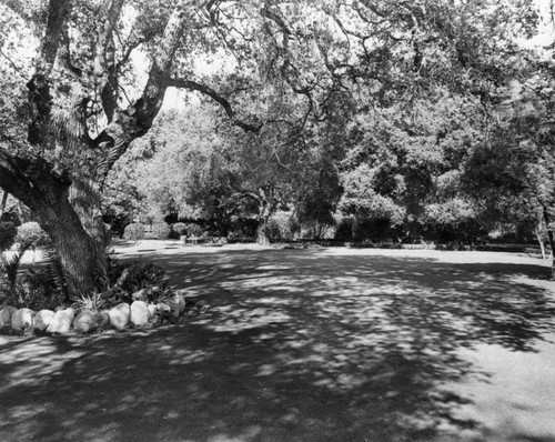 English Oaks, Arcadia