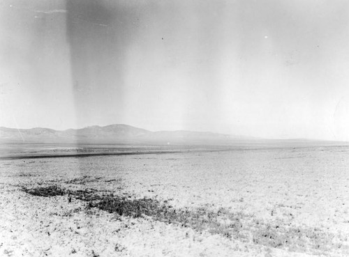 Garlock Fault Escarpment