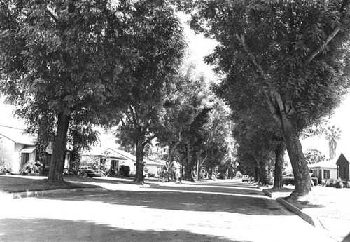 Neighborhood in Rosemead