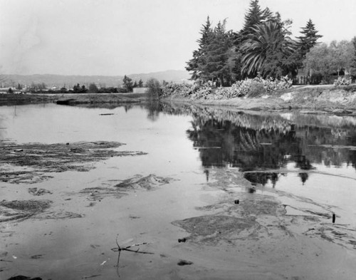 View across one tar pit