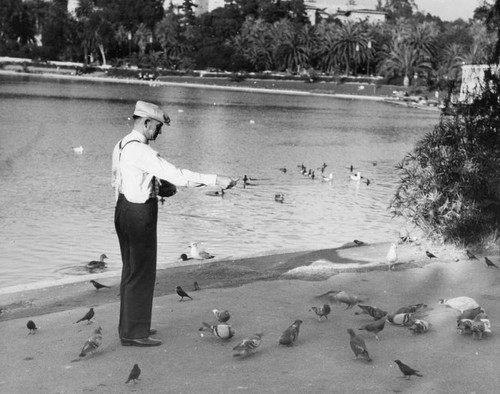 Bird-feeding at MacArthur Park