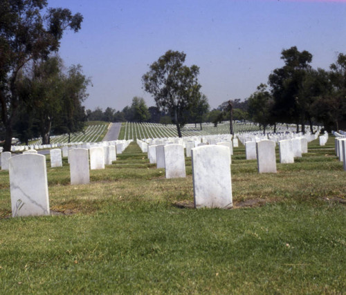 Veteran's Administration Cemetery