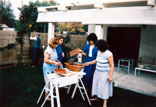 Backyard barbecue