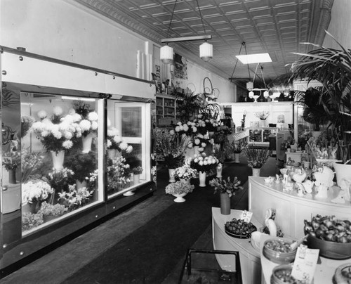 Drew's Flower Shop, Wilmington