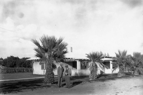 Palms and house