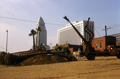 Planting palms, Plaza Park