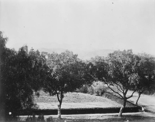 Rural scene, Hollywood Blvd. and Western Ave