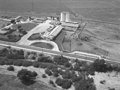 Pellissier Dairy Farms, Workman Mill Road, looking northwest