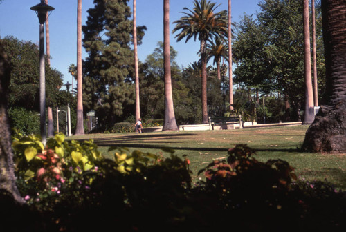 Will Rogers Memorial Park