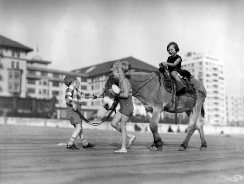 Donkey and children