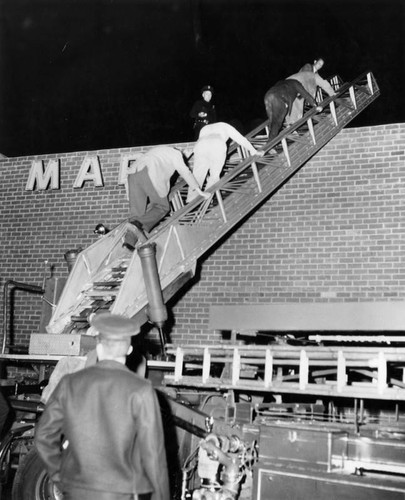 Burglars caught on market roof