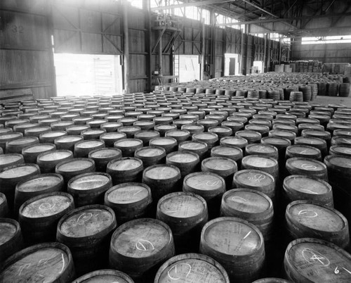 Barrels of liquor in a warehouse