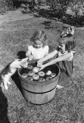 Bobbing for apples