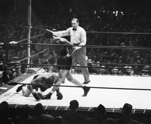 A boxer goes down