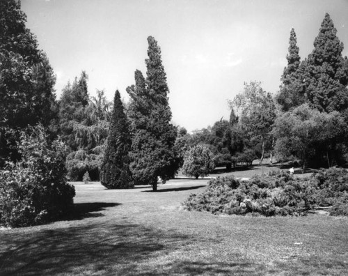 Trees and lawn in San Marino