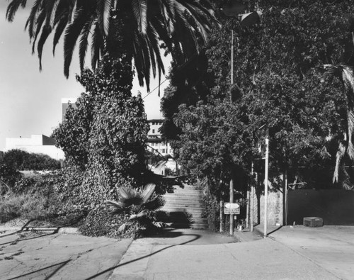 Ambassador Hotel from tennis courts, facing north