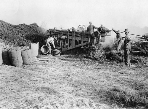 Peanut picker