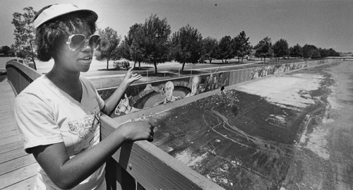 Tujunga Wash Flood Control Channel murals