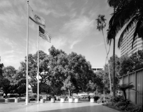 Parker Center Landscape